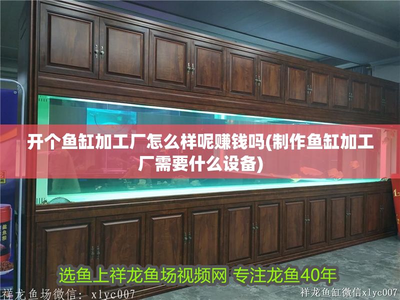開個魚缸加工廠怎么樣呢賺錢嗎(制作魚缸加工廠需要什么設備)