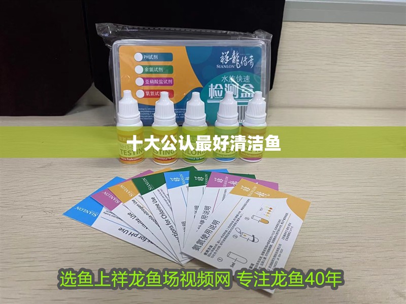 十大公認最好清潔魚