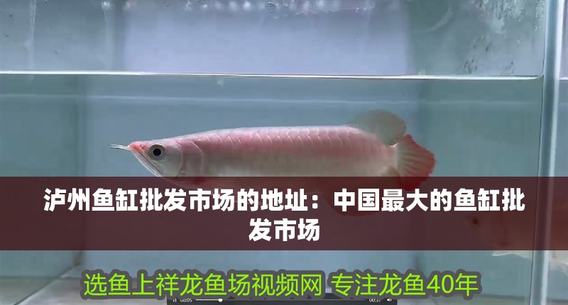 瀘州魚缸批發市場的地址：中國最大的魚缸批發市場