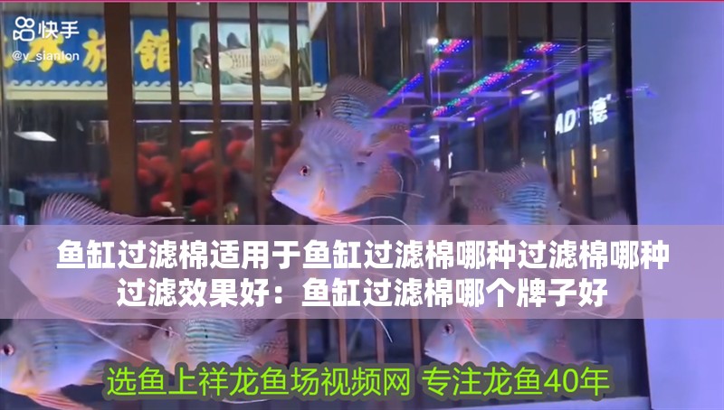 魚缸過濾棉適用于魚缸過濾棉哪種過濾棉哪種過濾效果好：魚缸過濾棉哪個牌子好