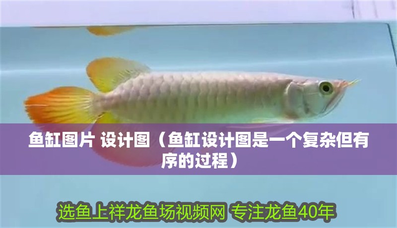魚缸圖片 設計圖（魚缸設計圖是一個復雜但有序的過程）