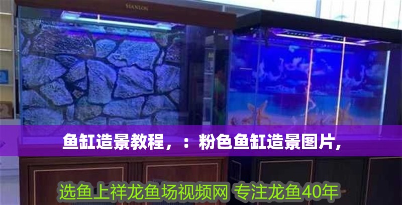 魚缸造景教程，：粉色魚缸造景圖片,