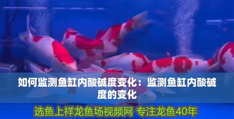 如何監測魚缸內酸堿度變化：監測魚缸內酸堿度的變化