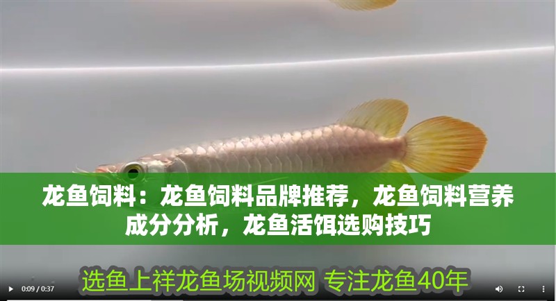 龍魚飼料：龍魚飼料品牌推薦，龍魚飼料營養成分分析，龍魚活餌選購技巧
