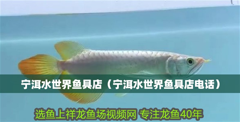 寧洱水世界魚具店（寧洱水世界魚具店電話）
