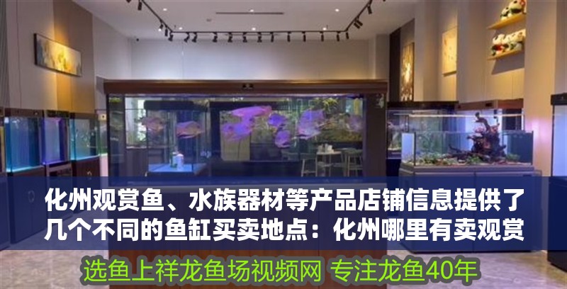 <strong><mark>化州</mark></strong>觀賞魚、水族器材等產品店鋪信息提供了幾個不同的魚缸買賣地點：<strong><mark>化州</mark></strong>哪里有賣觀賞魚的？