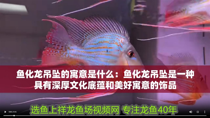 魚化龍吊墜的寓意是什么：魚化龍吊墜是一種具有深厚文化底蘊(yùn)和美好寓意的飾品