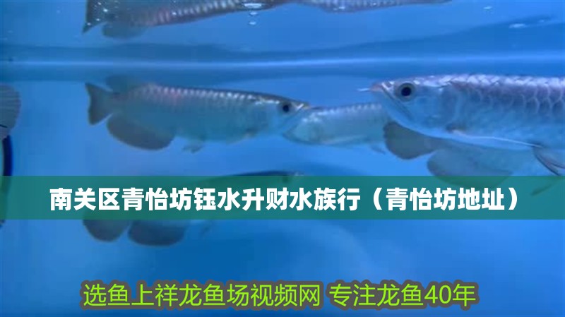 南關(guān)區(qū)青怡坊鈺水升財水族行（青怡坊地址）
