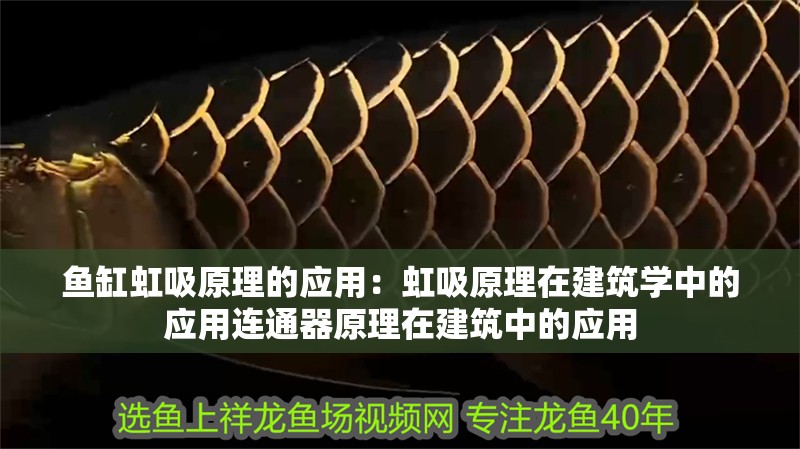 魚缸虹吸原理的應(yīng)用：虹吸原理在建筑學(xué)中的應(yīng)用連通器原理在建筑中的應(yīng)用