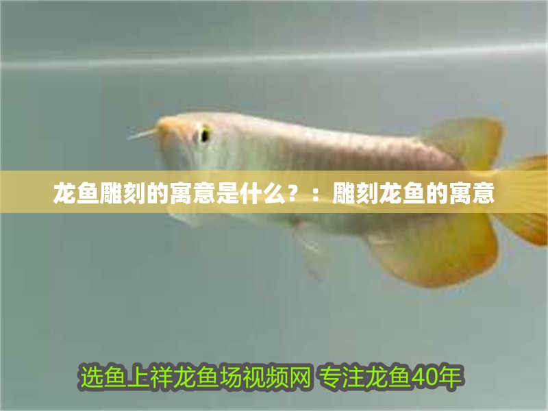 龍魚雕刻的寓意是什么？：雕刻龍魚的寓意