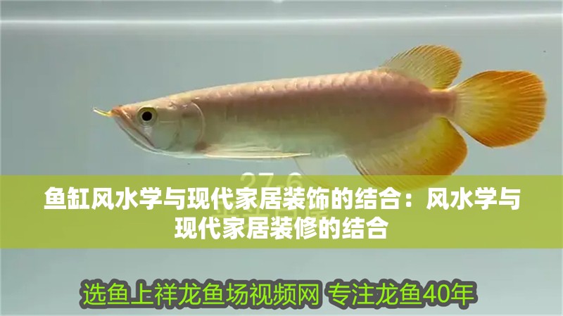魚缸風水學與現代家居裝飾的結合：風水學與現代家居裝修的結合
