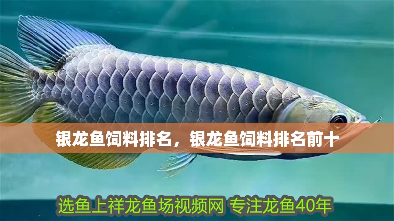 銀龍魚飼料排名，銀龍魚飼料排名前十