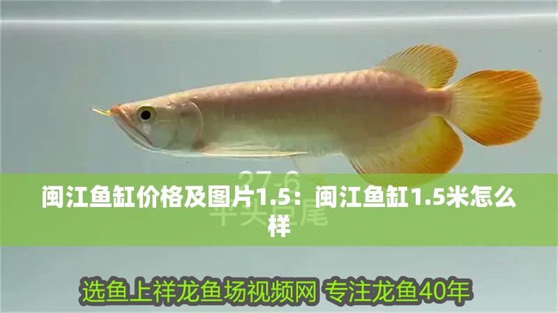閩江魚(yú)缸價(jià)格及圖片1.5：閩江魚(yú)缸1.5米怎么樣