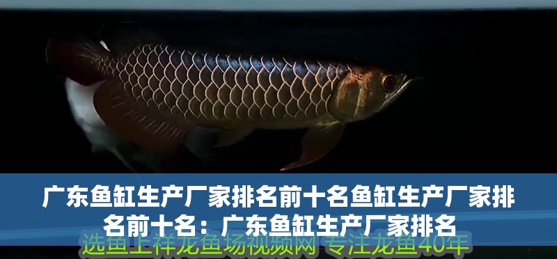 廣東魚缸生產廠家排名前十名魚缸生產廠家排名前十名：廣東魚缸生產廠家排名