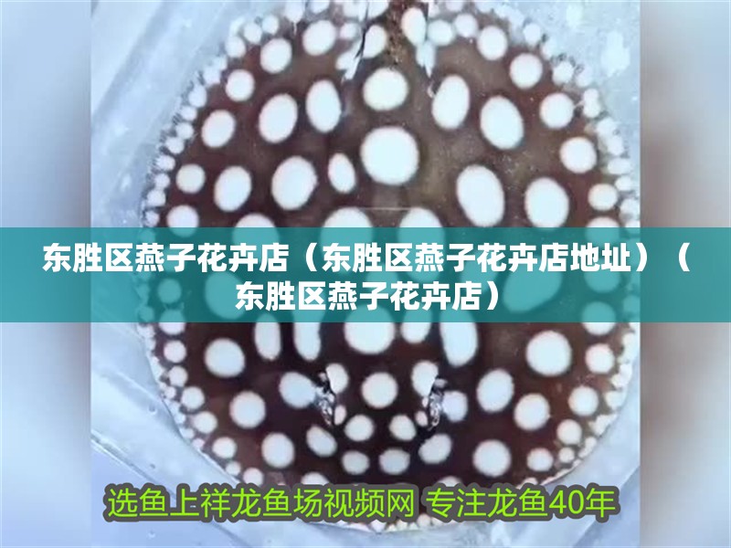 魚缸用增氧泵價格是多少:魚缸增氧機-xtrac增氧機-xtrac增氧機 東勝區燕子花卉店(東勝區燕子花卉店地址)(東勝區燕子花卉店) 全國水族館企業名錄 東勝區燕子花卉店(東勝區燕子花卉店地址)(東勝區燕子花卉店) 東勝區燕子花卉店(東勝區燕子花卉店地址)(東勝區燕子花卉店) 全國水族館企業名錄