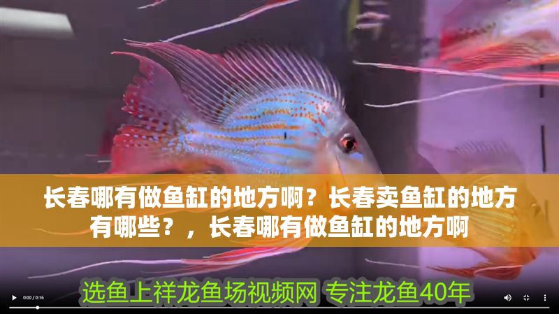 長春哪有做魚缸的地方啊？長春賣魚缸的地方有哪些？，長春哪有做魚缸的地方啊
