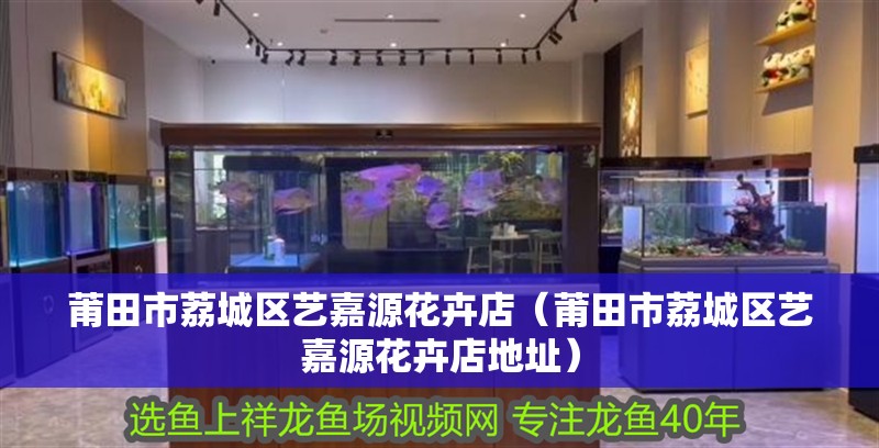 莆田市荔城區(qū)藝嘉源花卉店（莆田市荔城區(qū)藝嘉源花卉店地址）