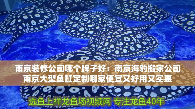 南京裝修公司哪個牌子好：南京海豹搬家公司南京大型魚缸定制哪家便宜又好用又實惠