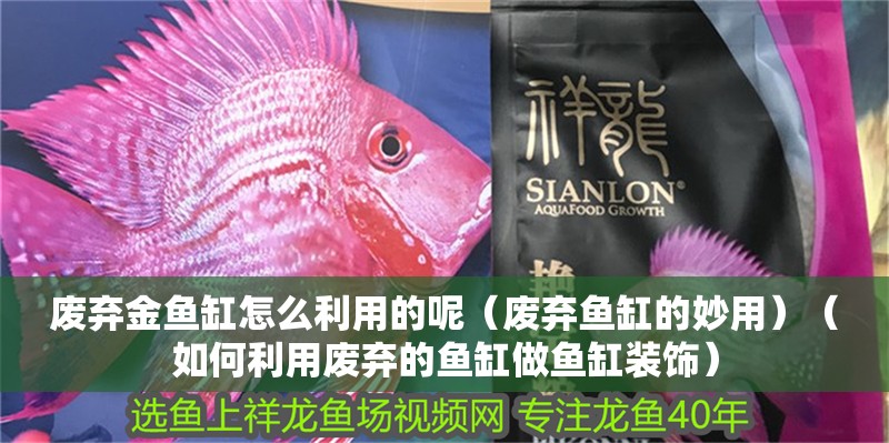 廢棄金魚缸怎么利用的呢（廢棄魚缸的妙用）（如何利用廢棄的魚缸做魚缸裝飾）