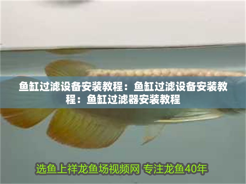 魚缸過濾設備安裝教程：魚缸過濾設備安裝教程：魚缸過濾器安裝教程