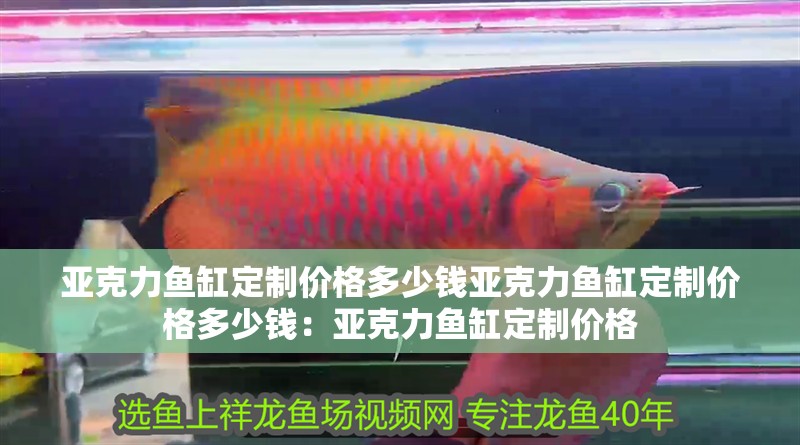 亞克力魚缸定制價格多少錢亞克力魚缸定制價格多少錢：亞克力魚缸定制價格