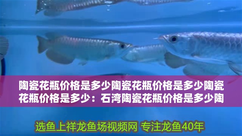 陶瓷花瓶價格是多少陶瓷花瓶價格是多少陶瓷花瓶價格是多少：石灣陶瓷花瓶價格是多少陶瓷花瓶價格是多少陶瓷花瓶價格是多少