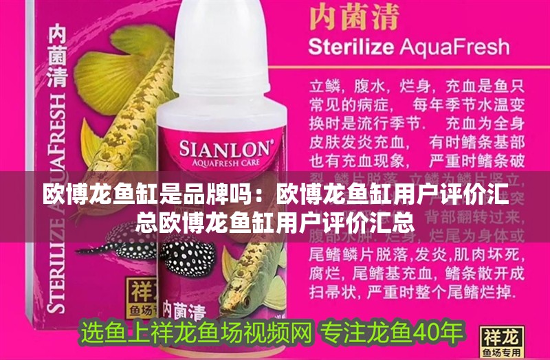 歐博龍魚缸是品牌嗎：歐博龍魚缸用戶評價匯總歐博龍魚缸用戶評價匯總