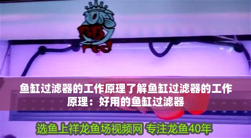 魚缸過濾器的工作原理了解魚缸過濾器的工作原理：好用的魚缸過濾器