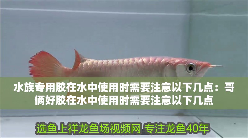 水族專用膠在水中使用時(shí)需要注意以下幾點(diǎn)：哥倆好膠在水中使用時(shí)需要注意以下幾點(diǎn)