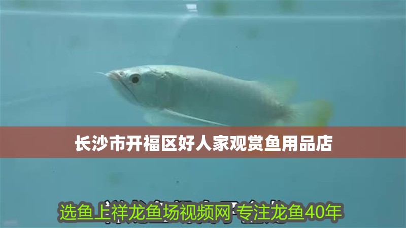 長沙市開福區好人家觀賞魚用品店