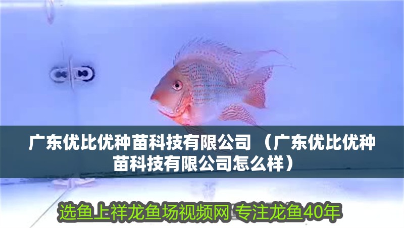 廣東優比優種苗科技有限公司 （廣東優比優種苗科技有限公司怎么樣） 廣東優比優種苗科技有限公司 （廣東優比優種苗科技有限公司怎么樣） 全國水族館企業名錄