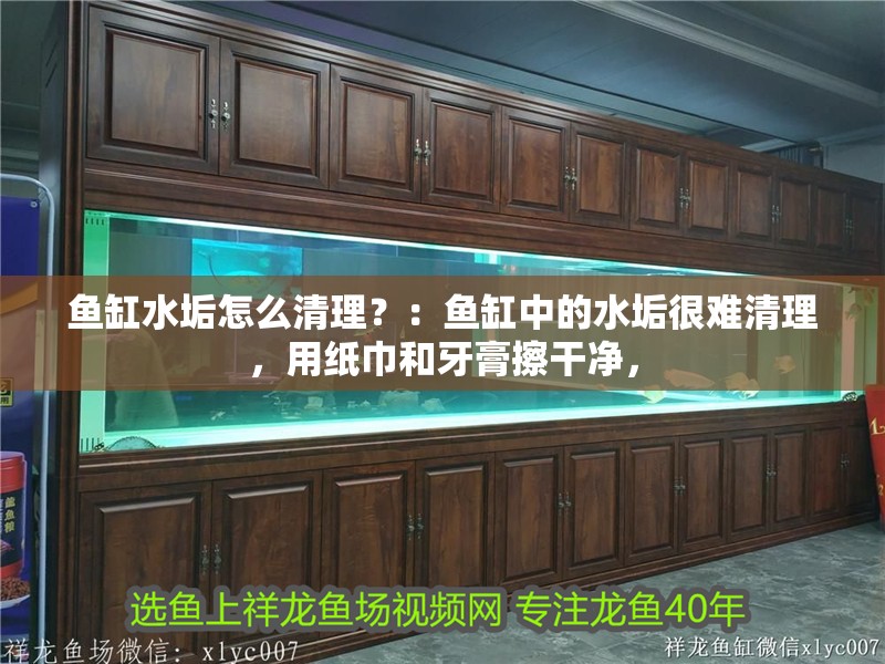 魚(yú)缸水垢怎么清理？：魚(yú)缸中的水垢很難清理，用紙巾和牙膏擦干凈，