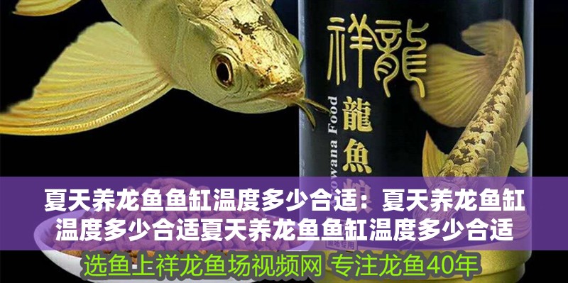 夏天養龍魚魚缸溫度多少合適：夏天養龍魚缸溫度多少合適夏天養龍魚魚缸溫度多少合適
