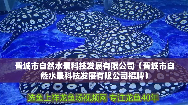 晉城市自然水景科技發(fā)展有限公司（晉城市自然水景科技發(fā)展有限公司招聘）