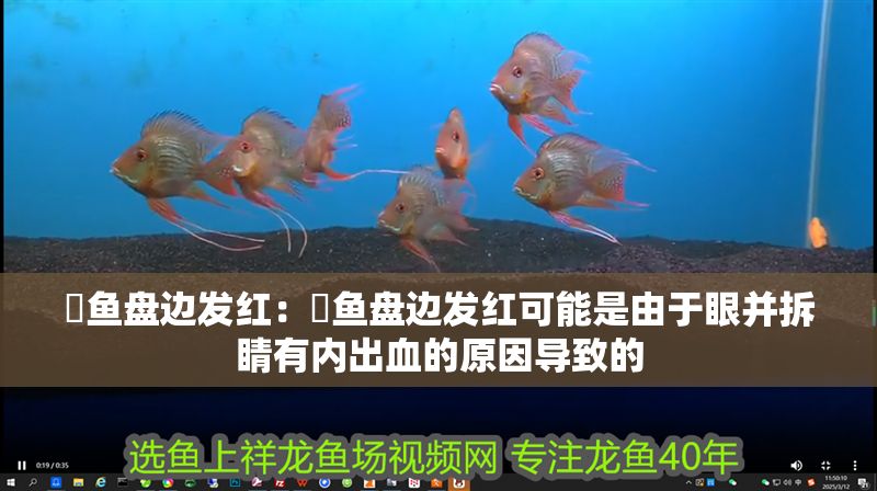 魟魚盤邊發紅：魟魚盤邊發紅可能是由于眼并拆睛有內出血的原因導致的