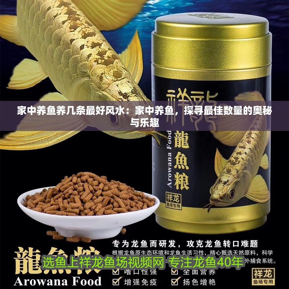 家中養魚養幾條最好風水：家中養魚，探尋最佳數量的奧秘與樂趣