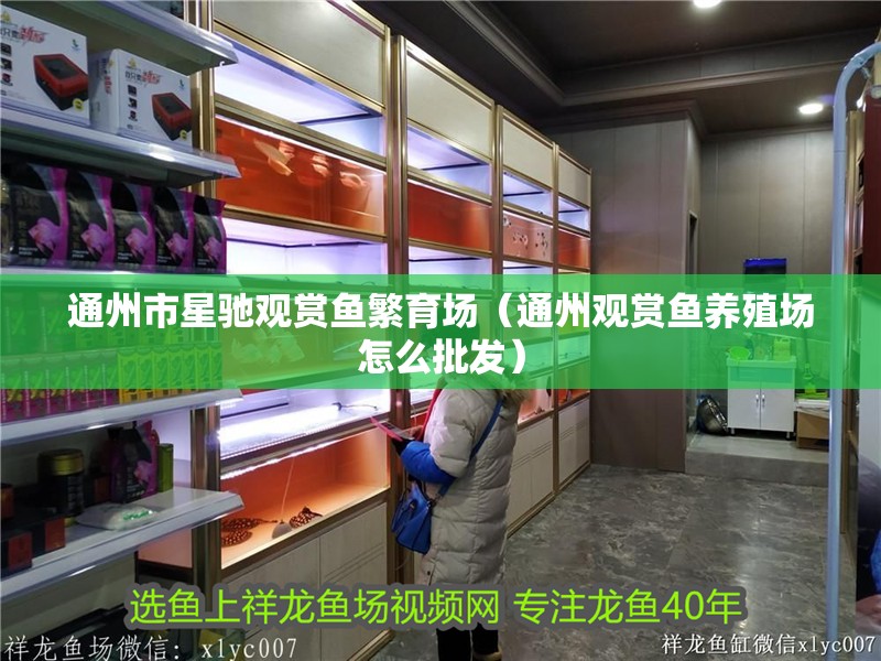 通州市星馳觀賞魚繁育場（通州觀賞魚養殖場怎么批發）