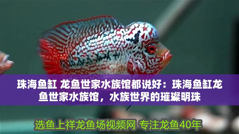 珠海魚(yú)缸 龍魚(yú)世家水族館都說(shuō)好：珠海魚(yú)缸龍魚(yú)世家水族館，水族世界的璀璨明珠