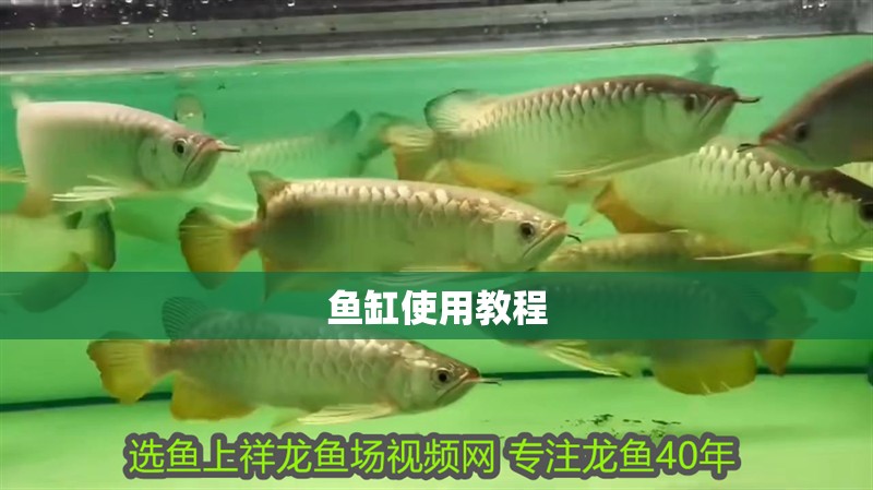 魚缸使用教程
