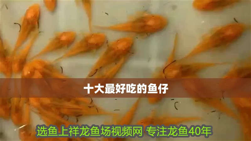 十大最好吃的魚仔