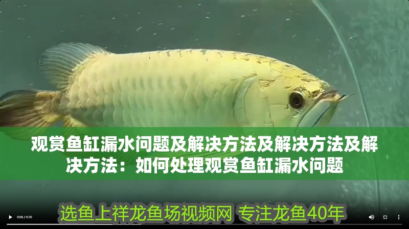 觀賞魚缸漏水問題及解決方法及解決方法及解決方法：如何處理觀賞魚缸漏水問題