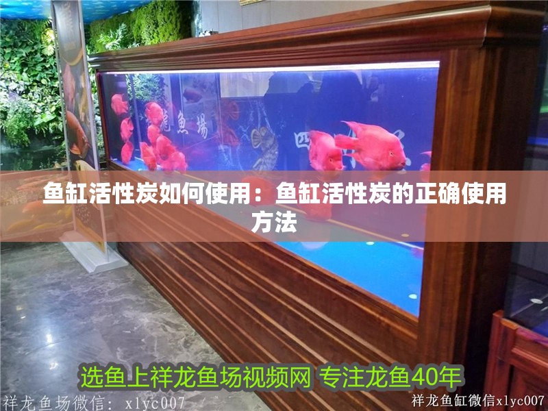 魚缸活性炭如何使用：魚缸活性炭的正確使用方法