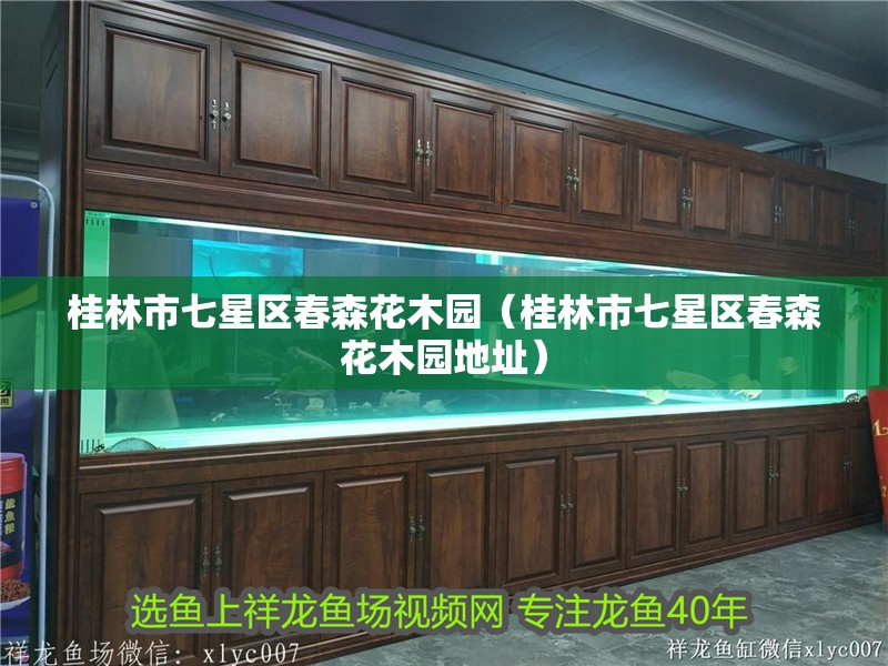 桂林市七星區(qū)春森花木園（桂林市七星區(qū)春森花木園地址）