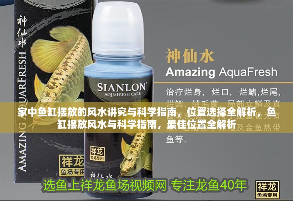 家中魚缸擺放的風水講究與科學指南，位置選擇全解析，魚缸擺放風水與科學指南，最佳位置全解析