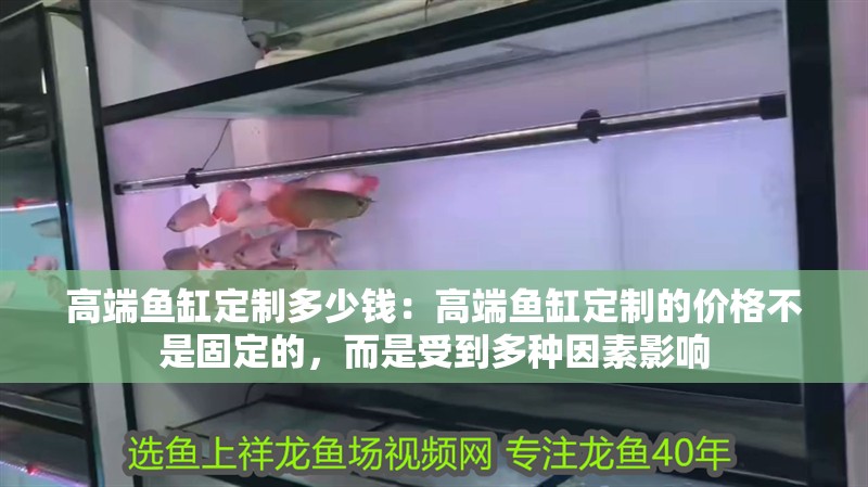 高端魚缸定制多少錢：高端魚缸定制的價格不是固定的，而是受到多種因素影響