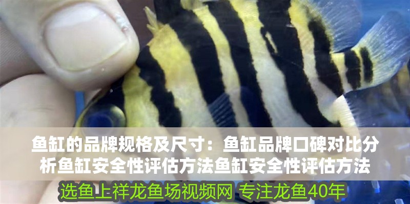 魚缸的品牌規(guī)格及尺寸：魚缸品牌口碑對(duì)比分析魚缸安全性評(píng)估方法魚缸安全性評(píng)估方法