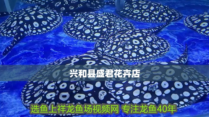 興和縣盛君花卉店