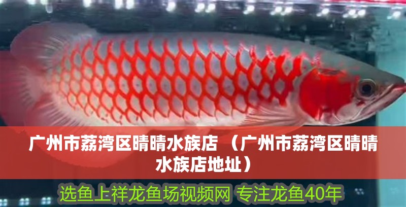 廣州市荔灣區(qū)晴晴水族店 （廣州市荔灣區(qū)晴晴水族店地址）