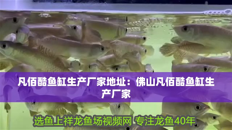 凡佰酷魚缸生產(chǎn)廠家地址：佛山凡佰酷魚缸生產(chǎn)廠家