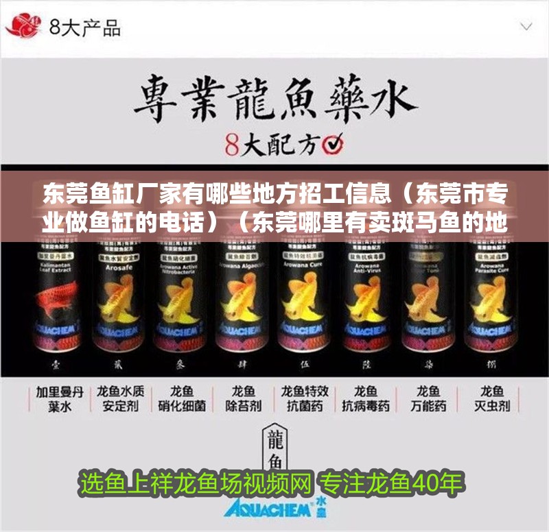 東莞魚缸廠家有哪些地方招工信息（東莞市專業(yè)做魚缸的電話）（東莞哪里有賣斑馬魚的地方） 東莞魚缸廠家有哪些地方招工信息（東莞市專業(yè)做魚缸的電話）（東莞哪里有賣斑馬魚的地方） 魚缸百科